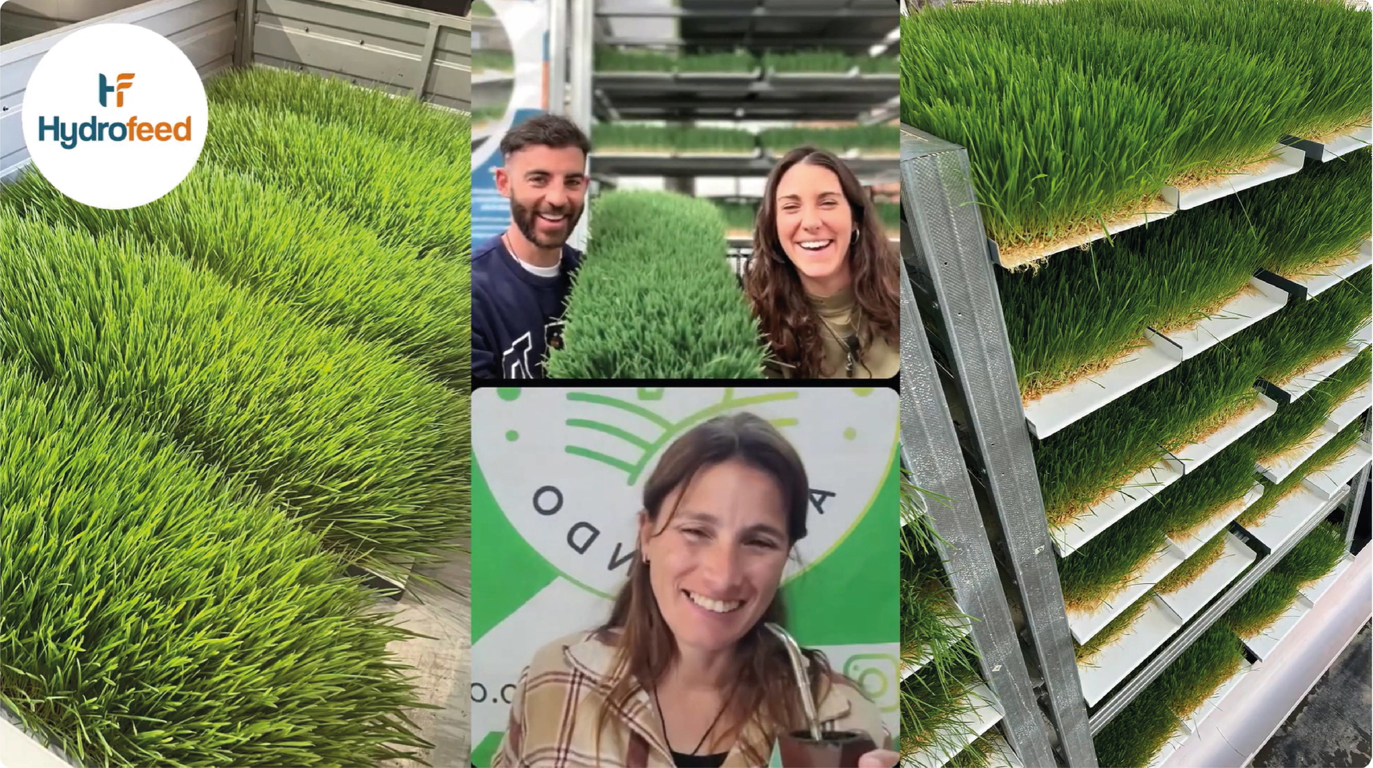 Entrevista Youtube - placeholder